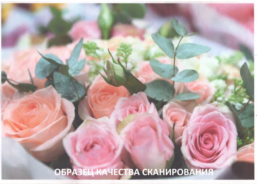 130-030-001 МФУ XEROX WorkCentre 3315 #27