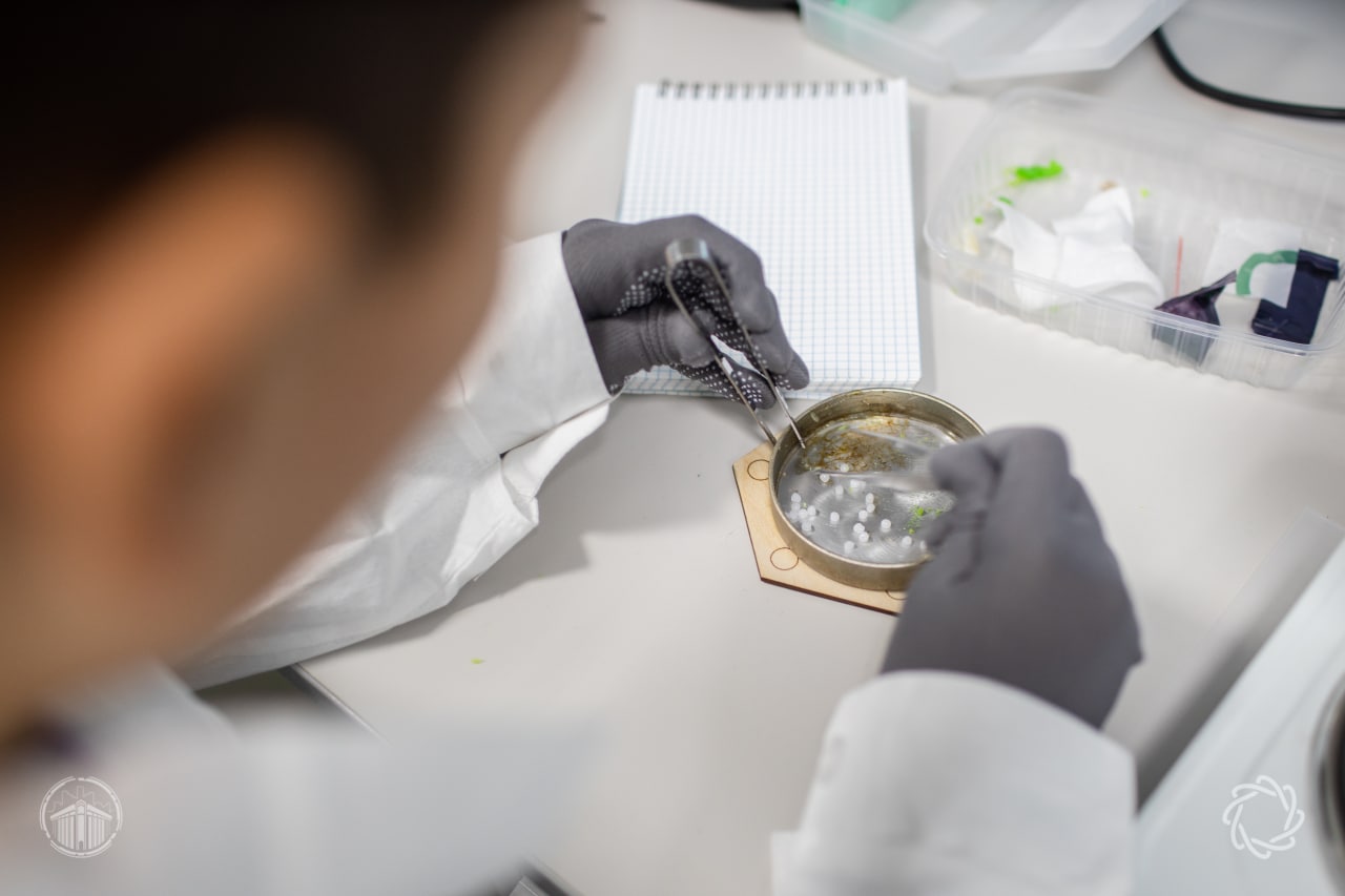 Обложка мероприятия