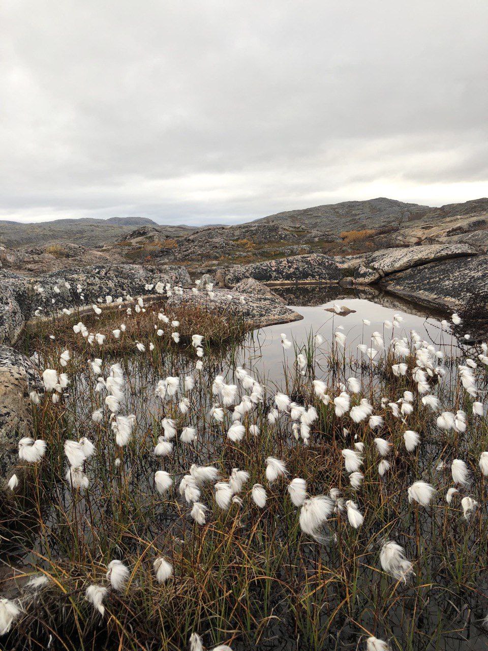 Обложка мероприятия