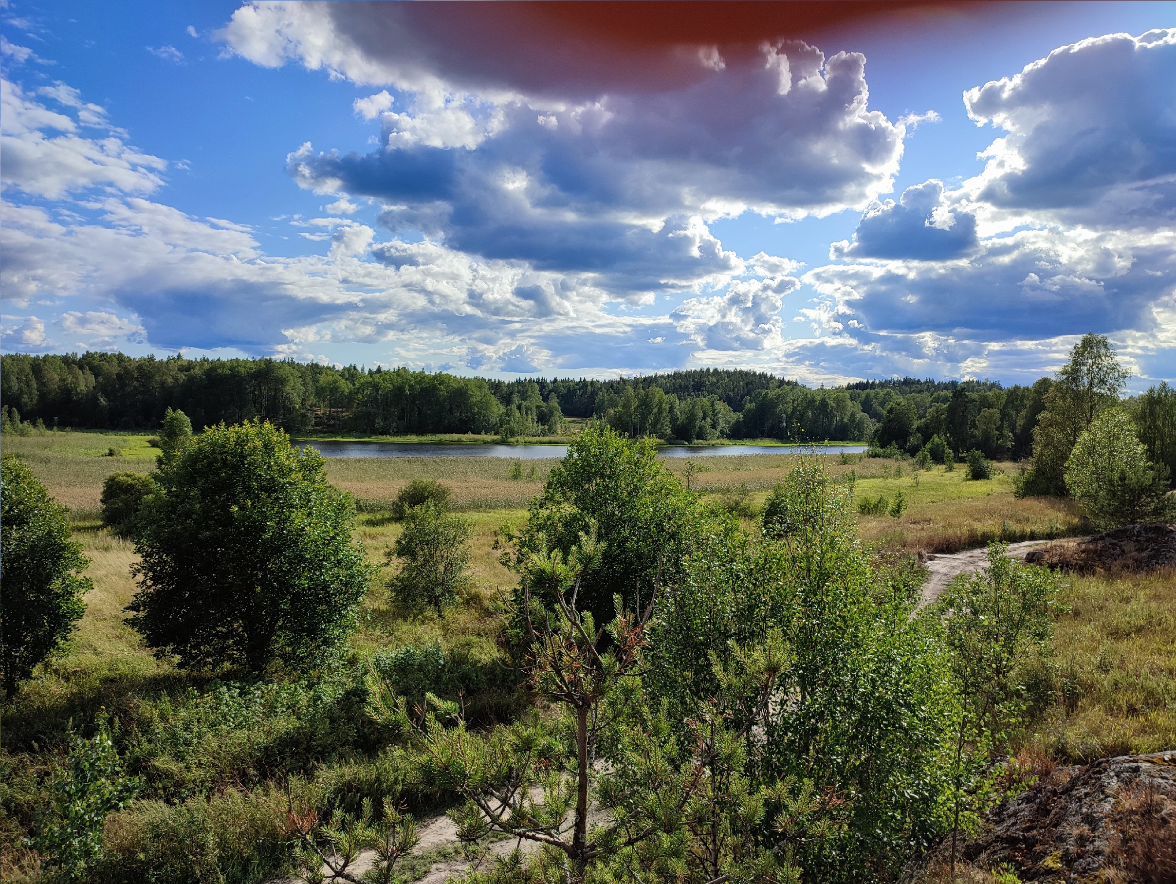 Обложка мероприятия