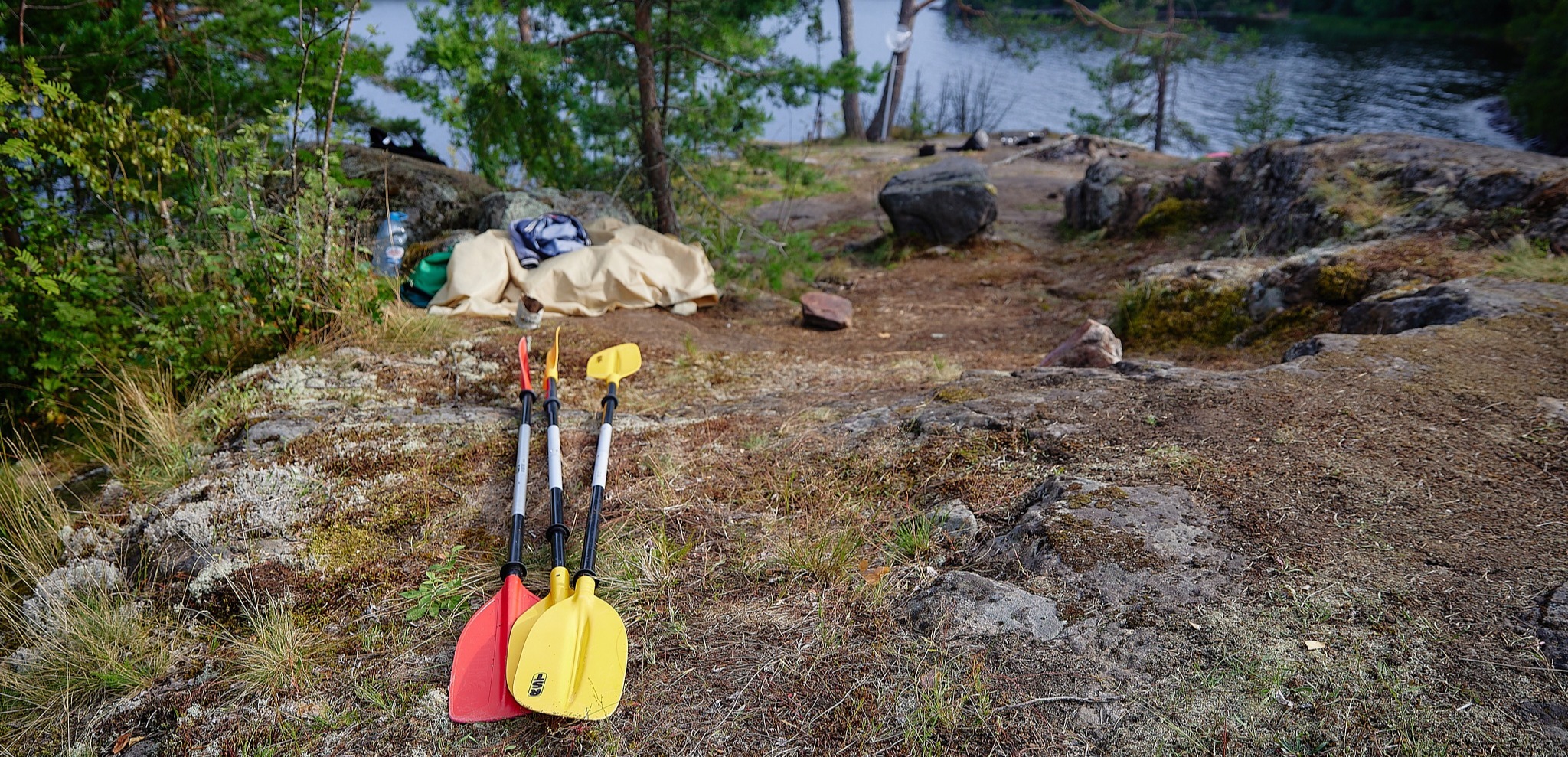 Обложка мероприятия