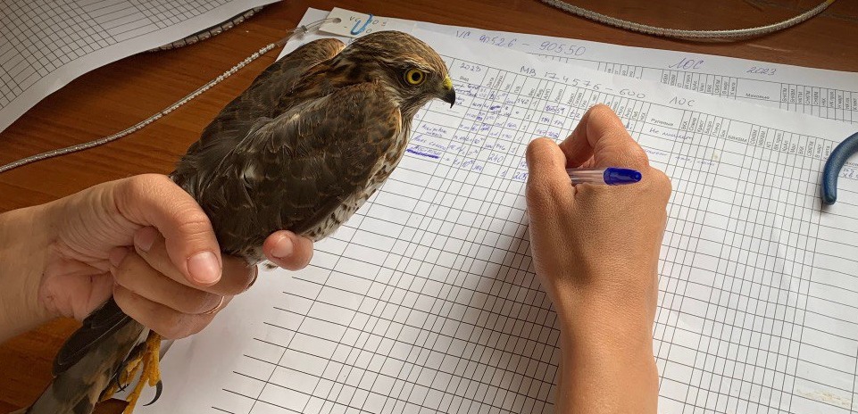 Обложка мероприятия