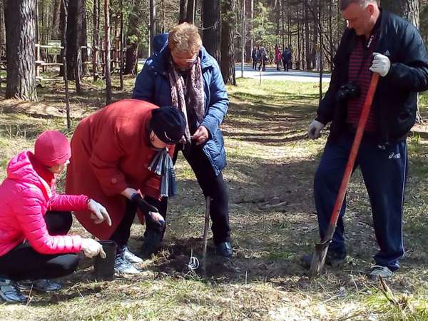 "День посадки леса" активистами ПВО в Новосибирске