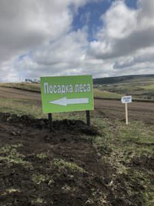 Акция ПВО "Посади дерево" в Иркутске