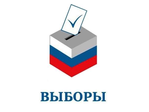Власть в Петербурге и муниципальные выборы