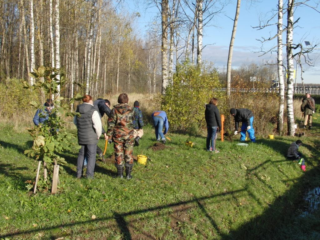 ПВО высадили кедры у памятника «Звезды-Журавли»