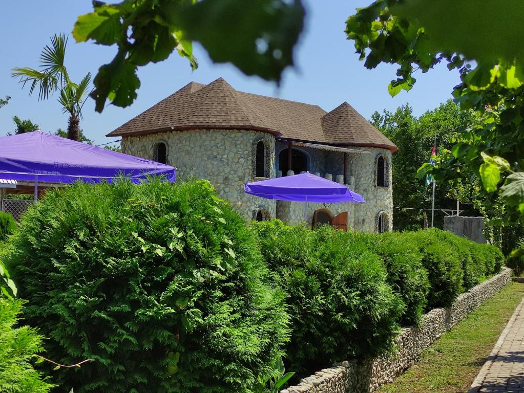 Фото Звандрипш Эко village 9