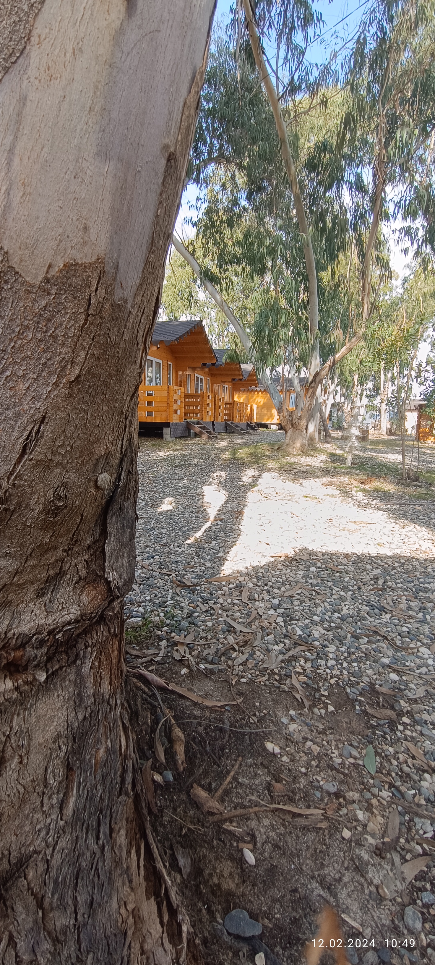 Фото Нарт отель 6