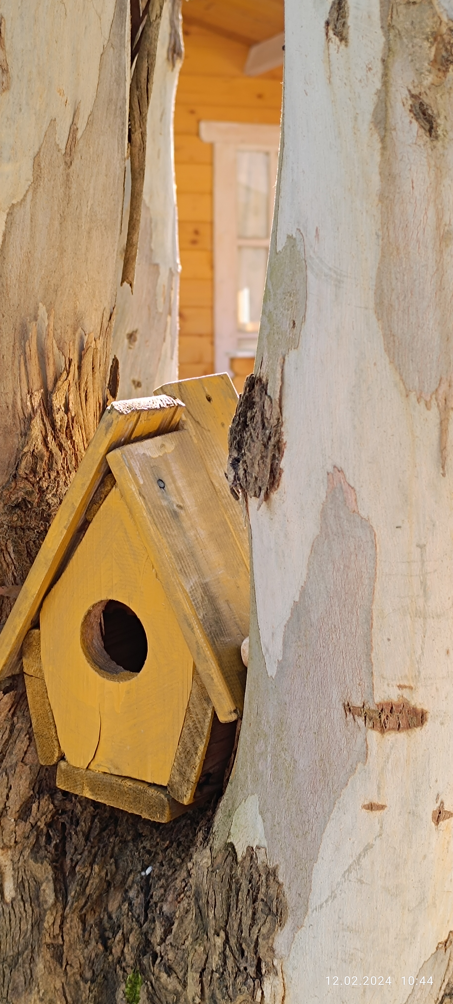 Фото Нарт отель 5