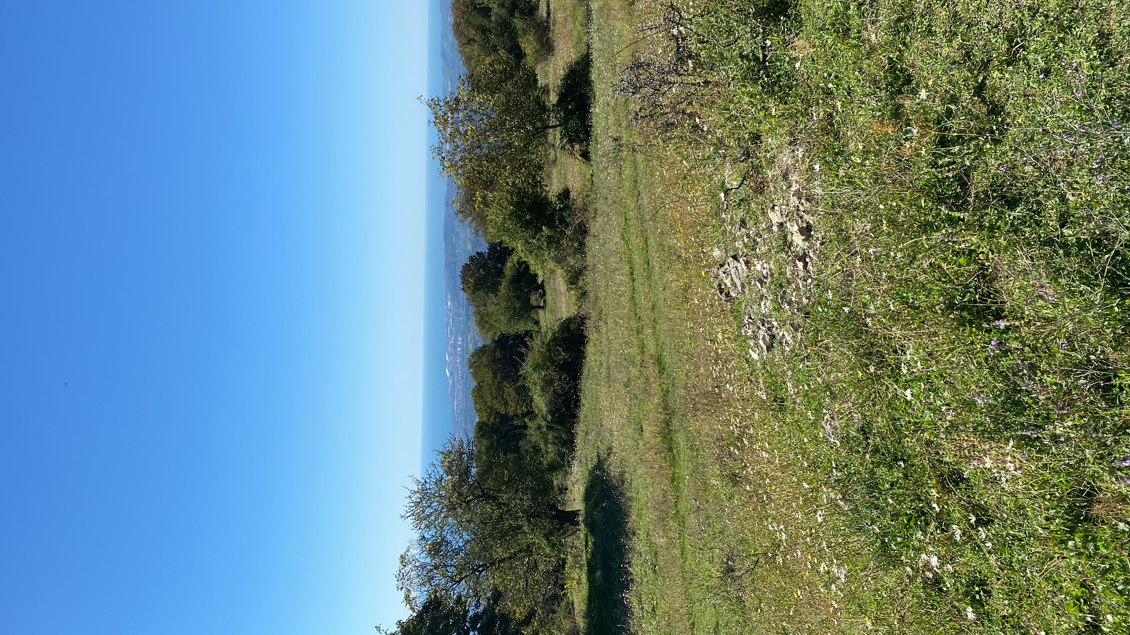 Фото ЭКО-Глэмпинг БУНГАЛО 78