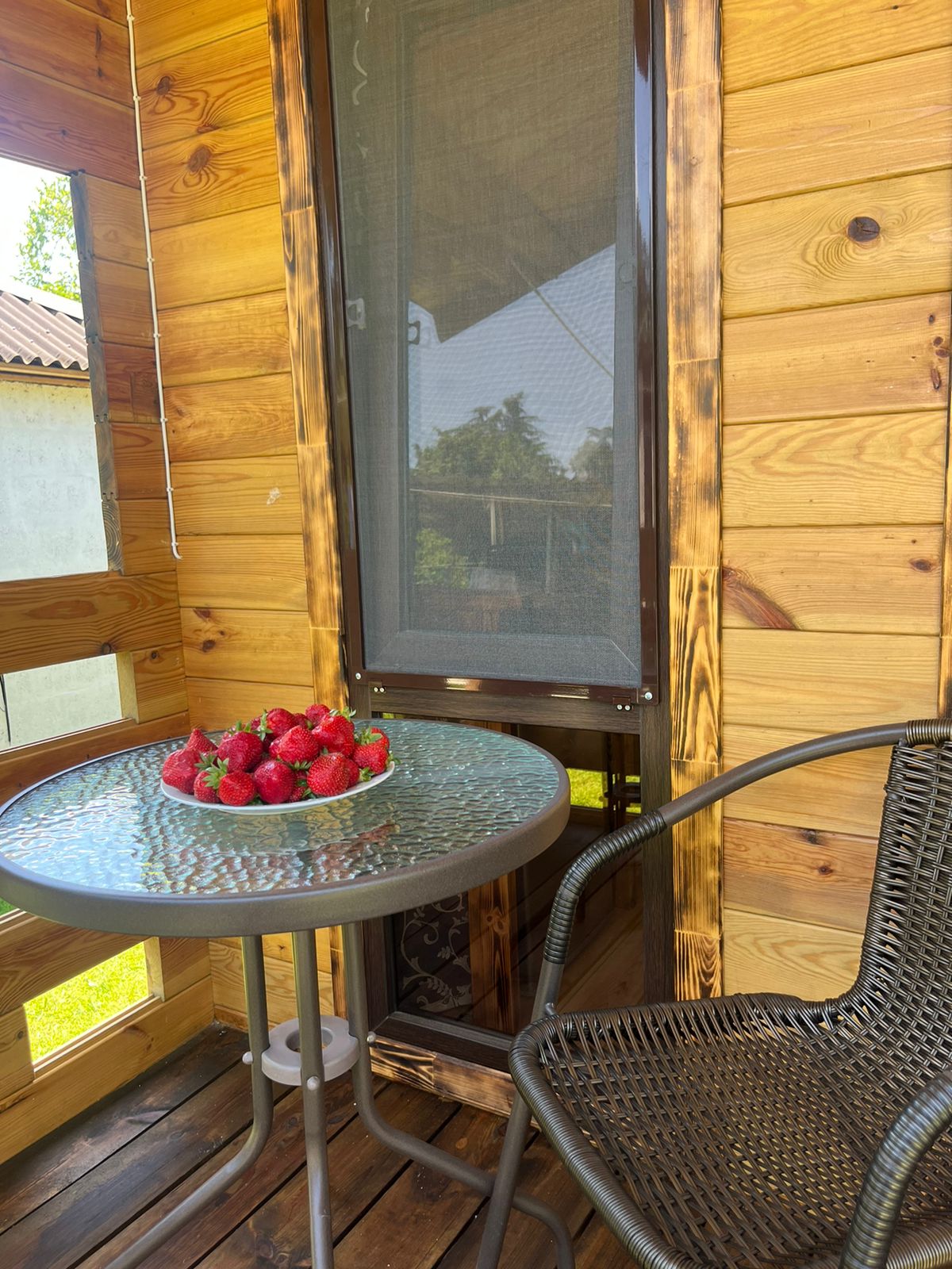 Гостевой дом Оксана, Пицунда — фото 4