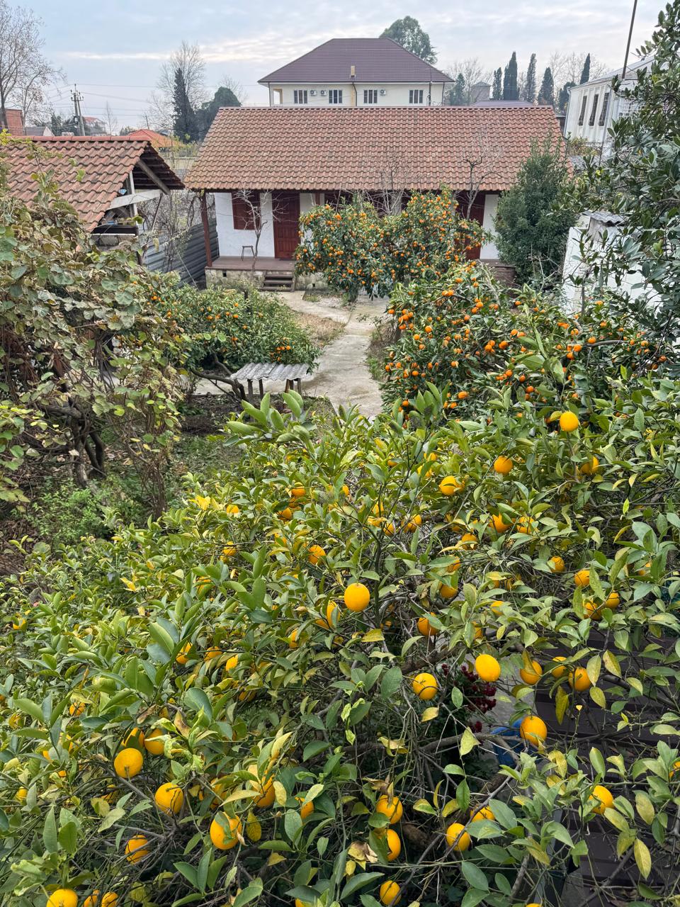 Вилла Абахча фото 4