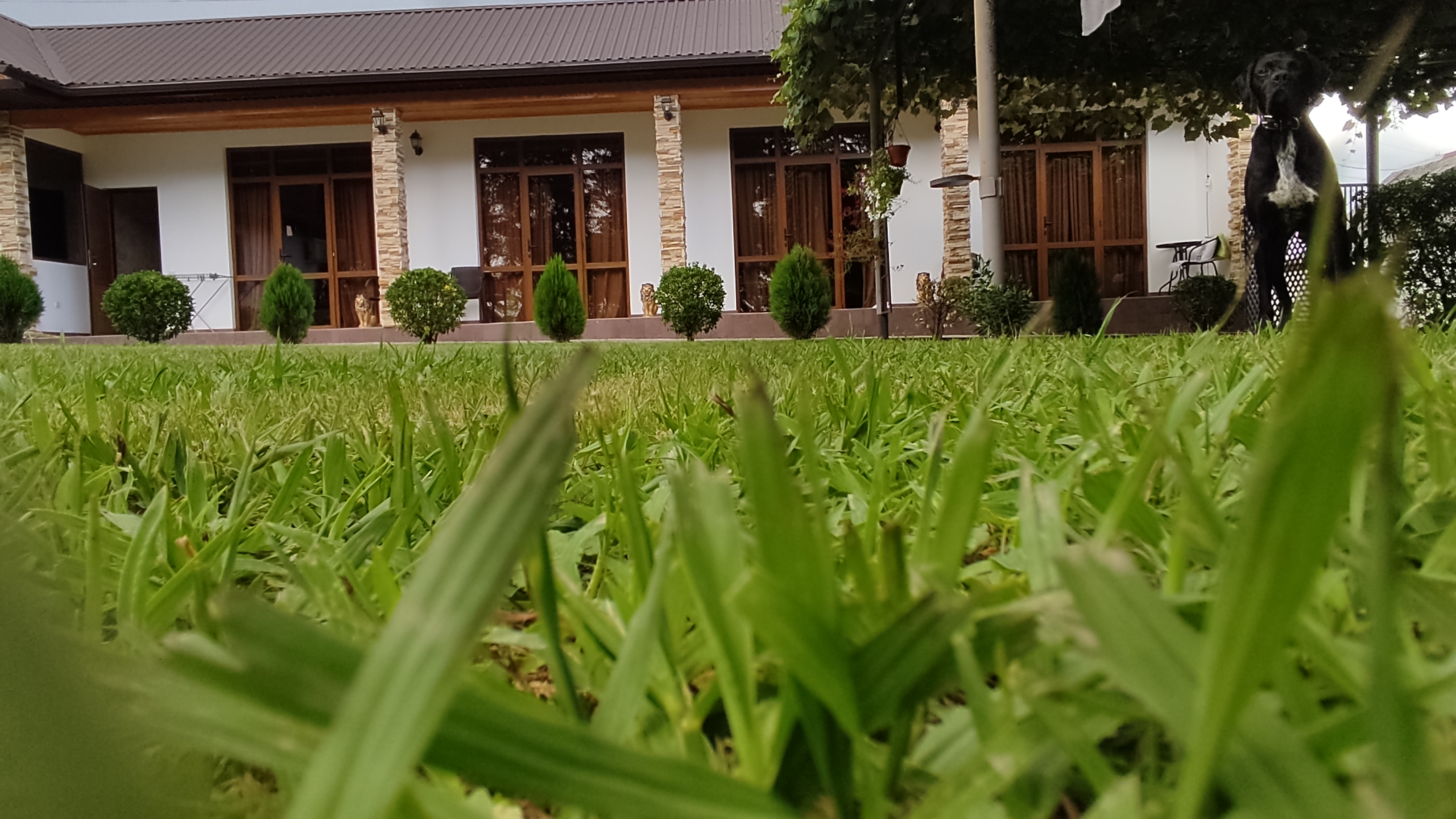 Фото House Diamond 6