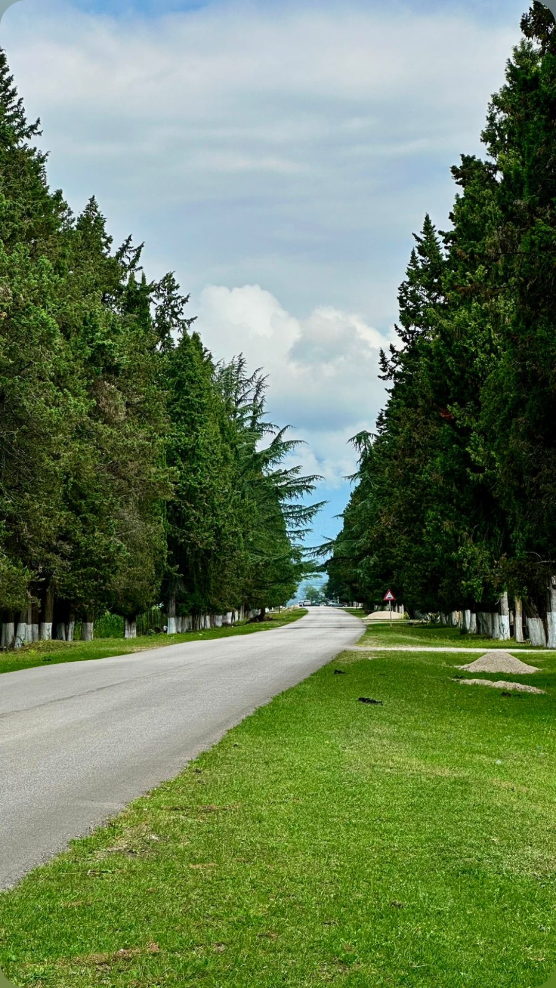 Фото House Diamond 20