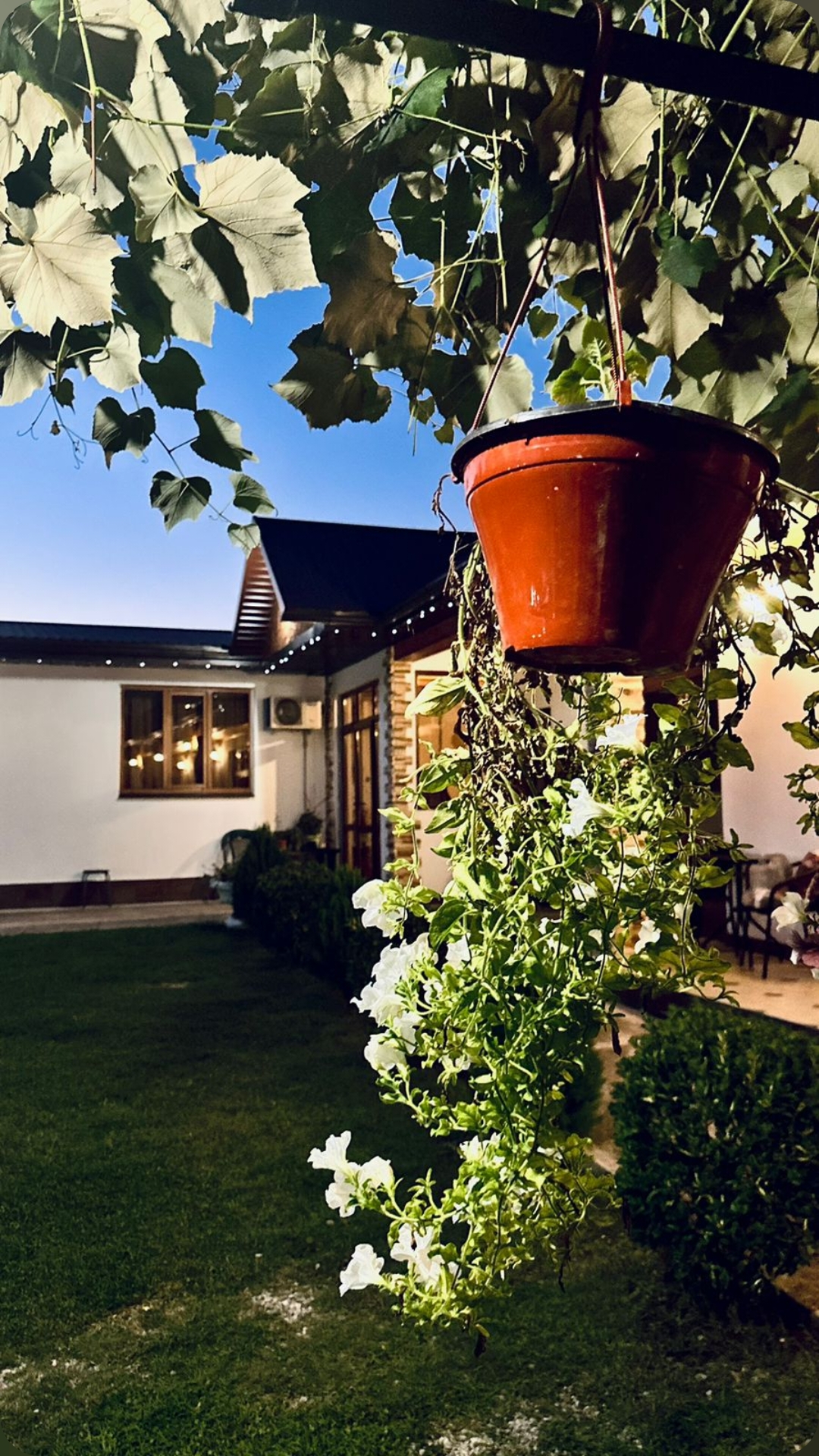 Фото House Diamond 19