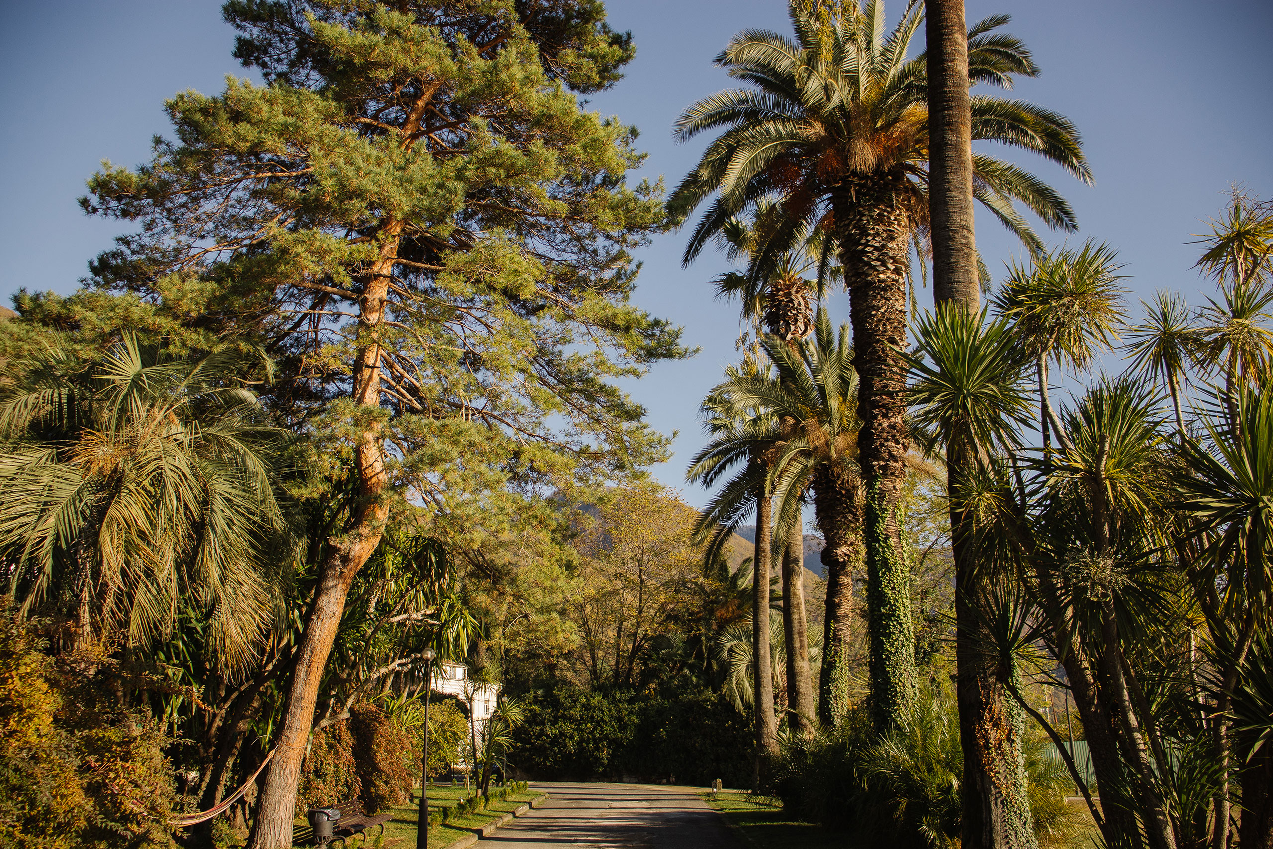 Абаата Амари Новая Гагра — фото 3