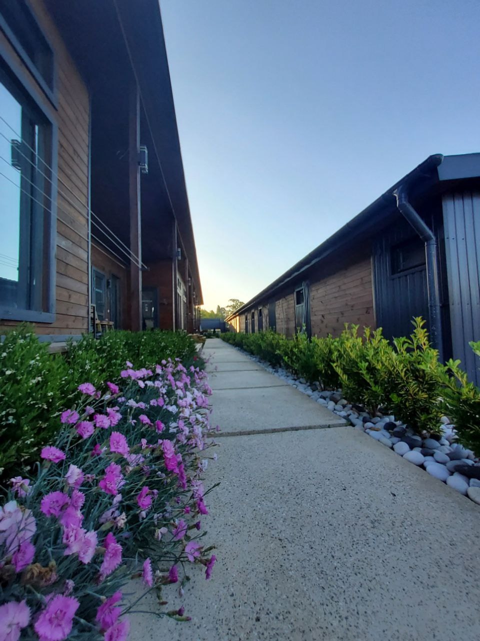 Фото Манреса Резорт 14