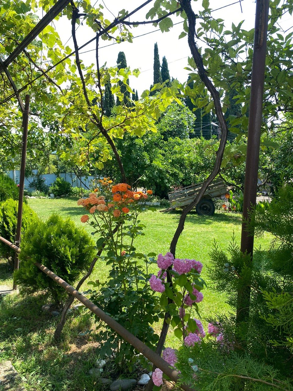 Комнаты в частном секторе у моря, Приморское — фото 3