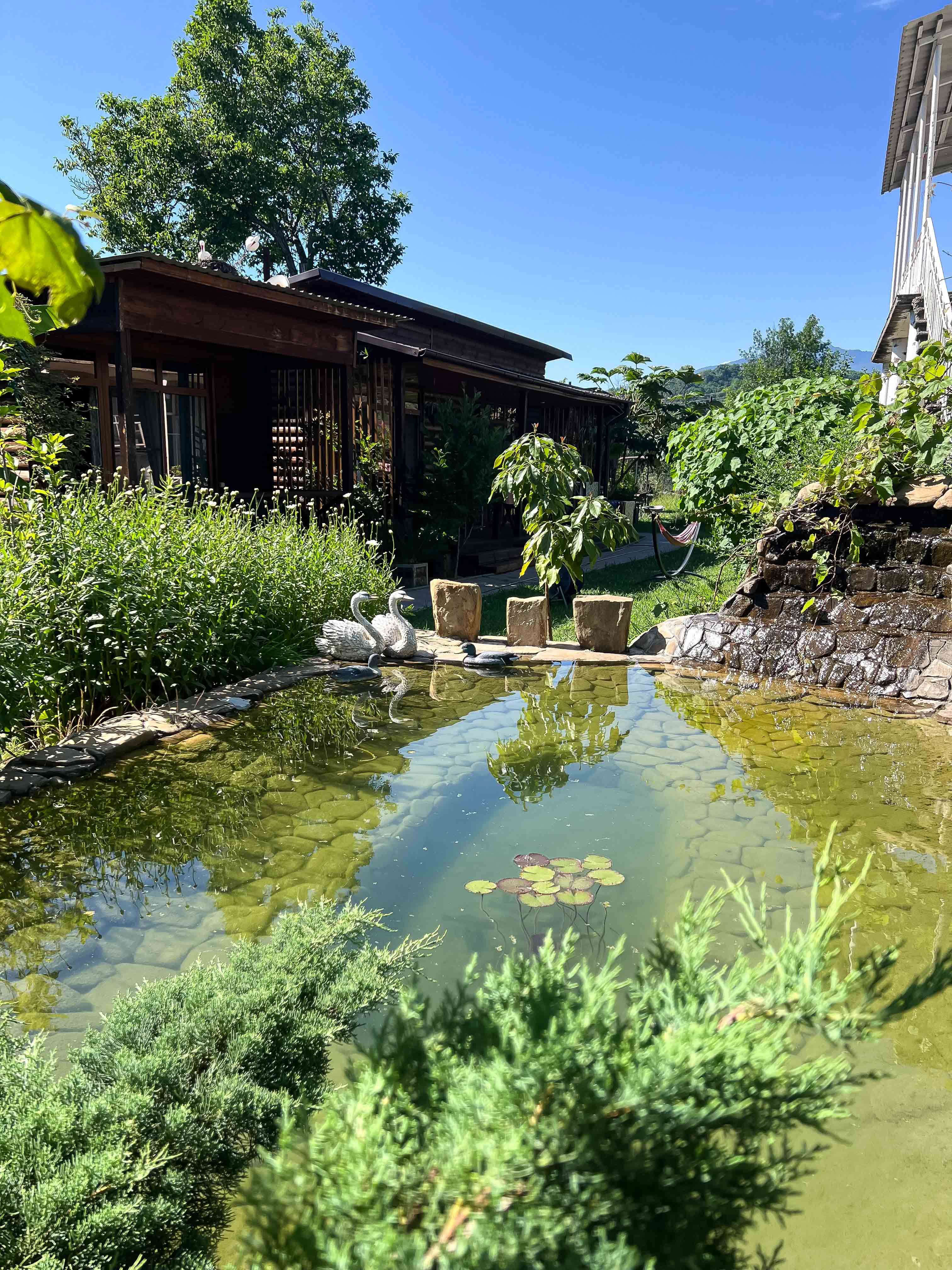 Зеленый Двор, Лдзаа — фото 4