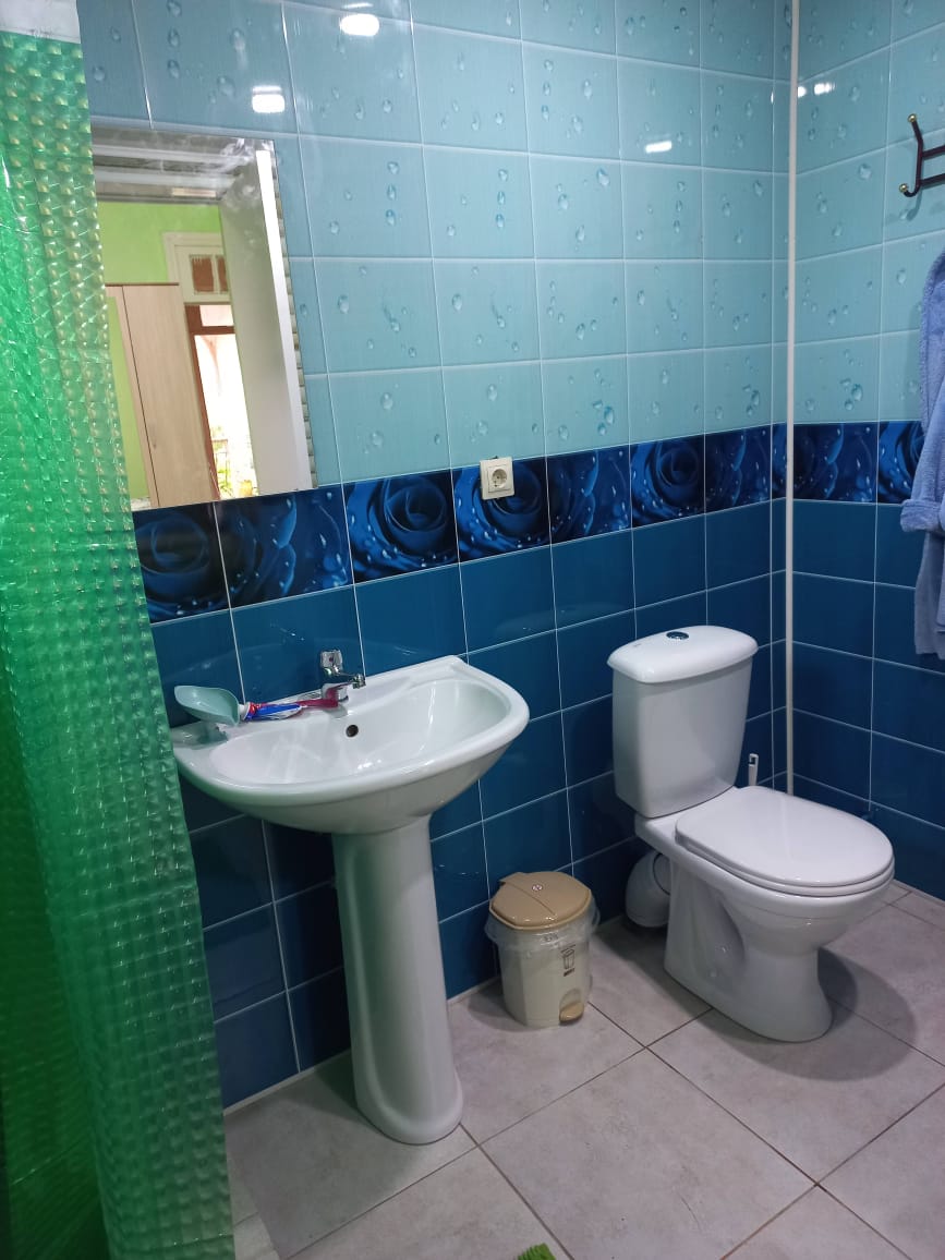 Гостевой дом Diamond на Мясникова 12, Новый Афон — фото 3