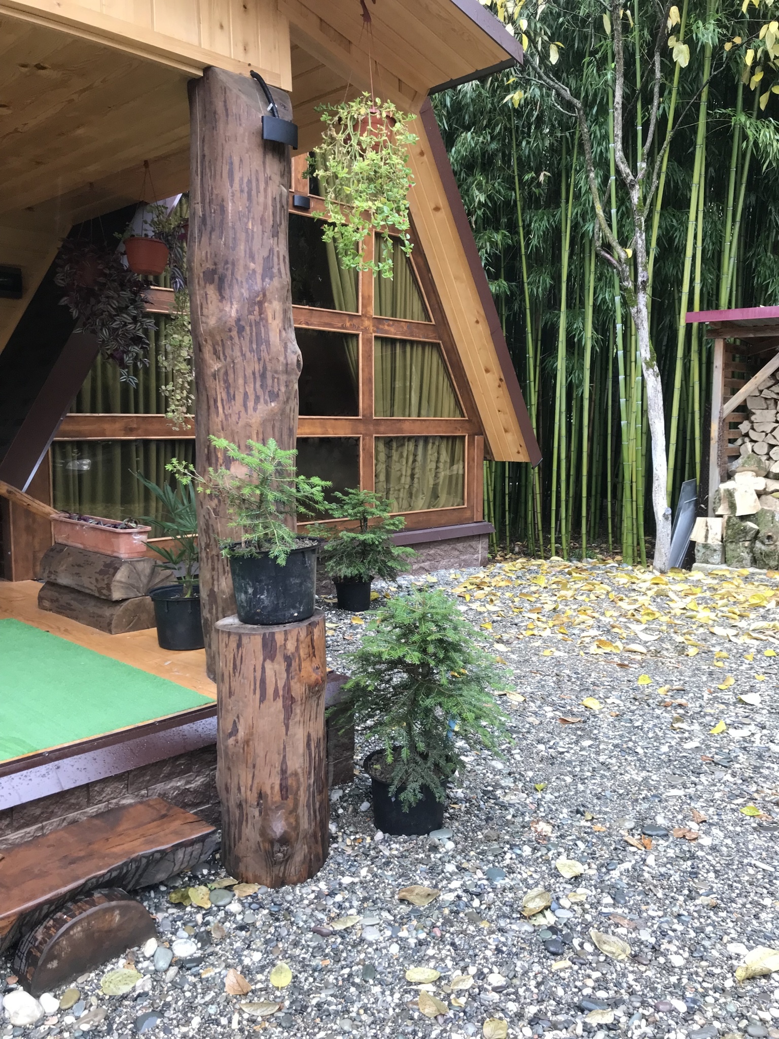 Фото ЭКО-Глэмпинг БУНГАЛО 48