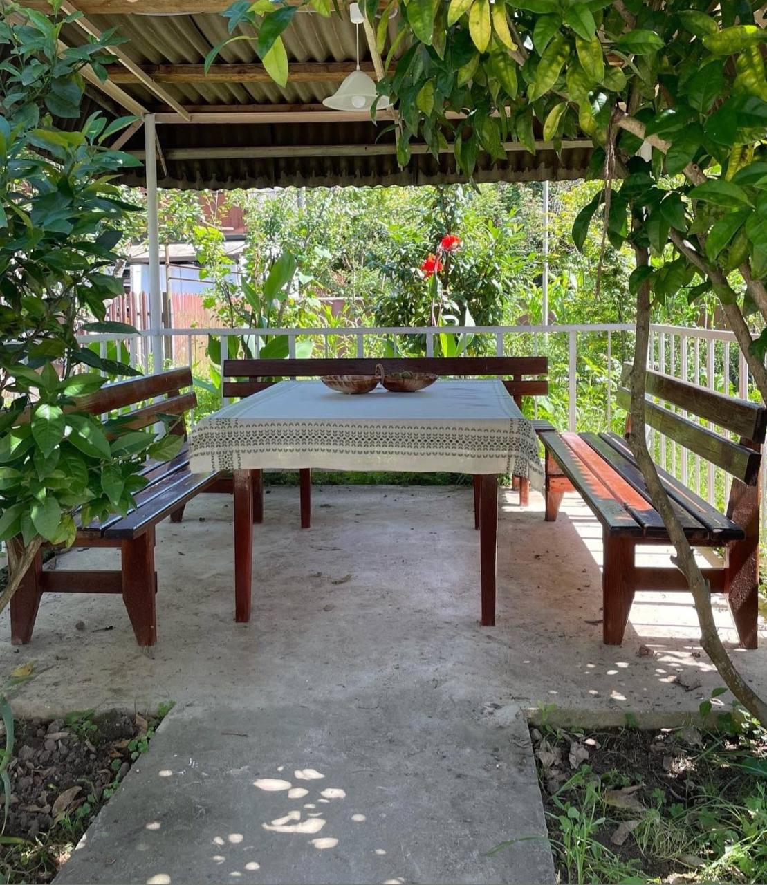 Фото Мандаринка 11