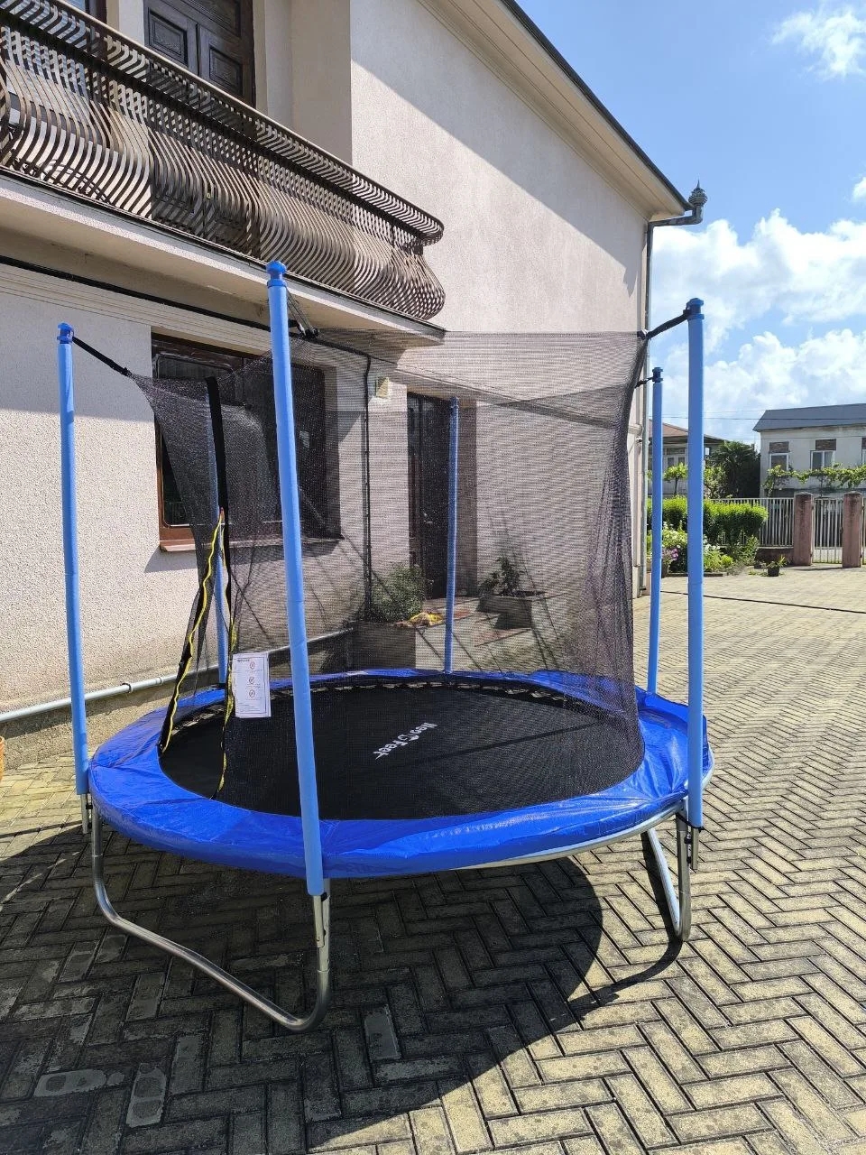 Фото Мандаринка 14