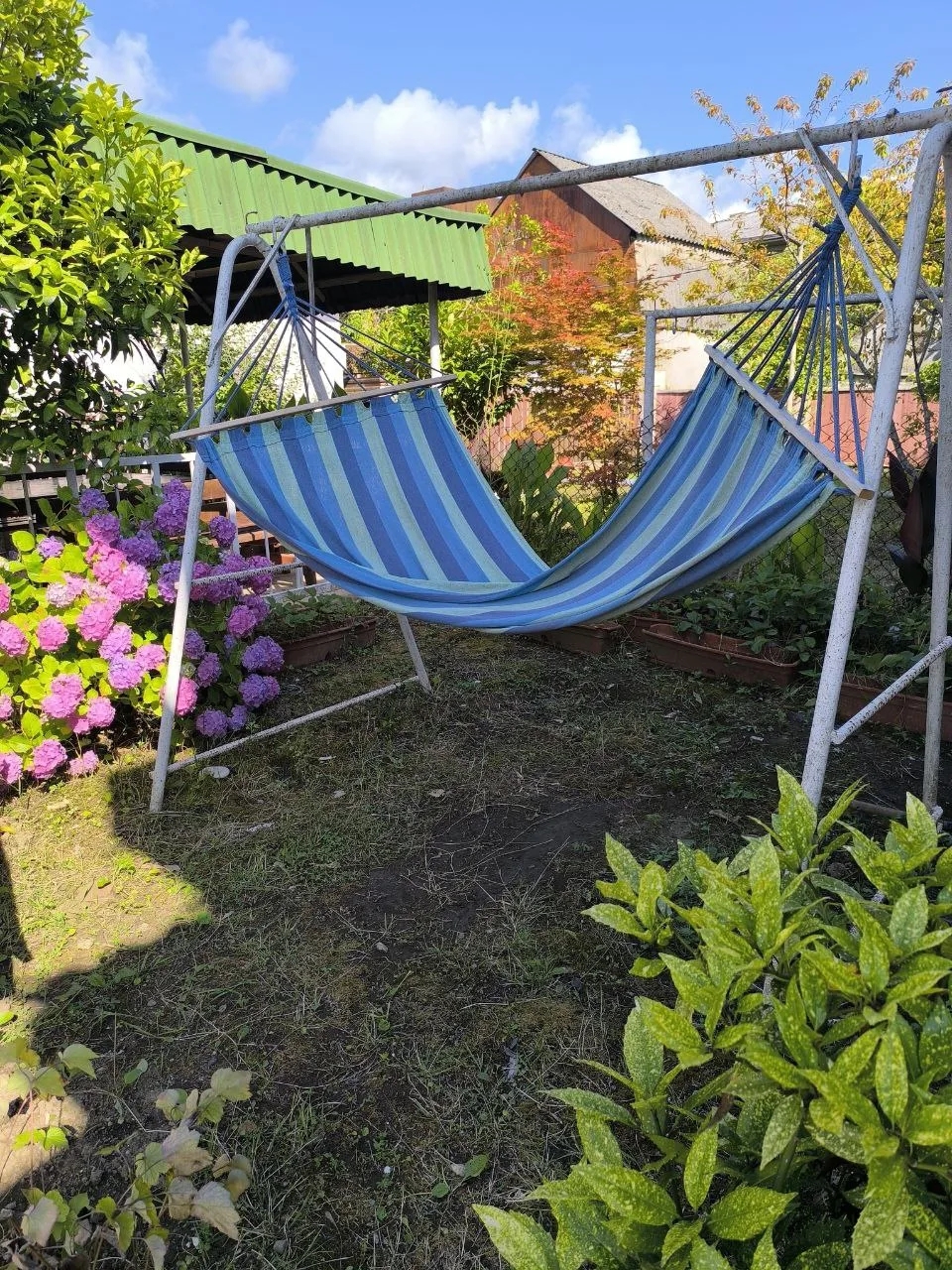 Фото Мандаринка 15