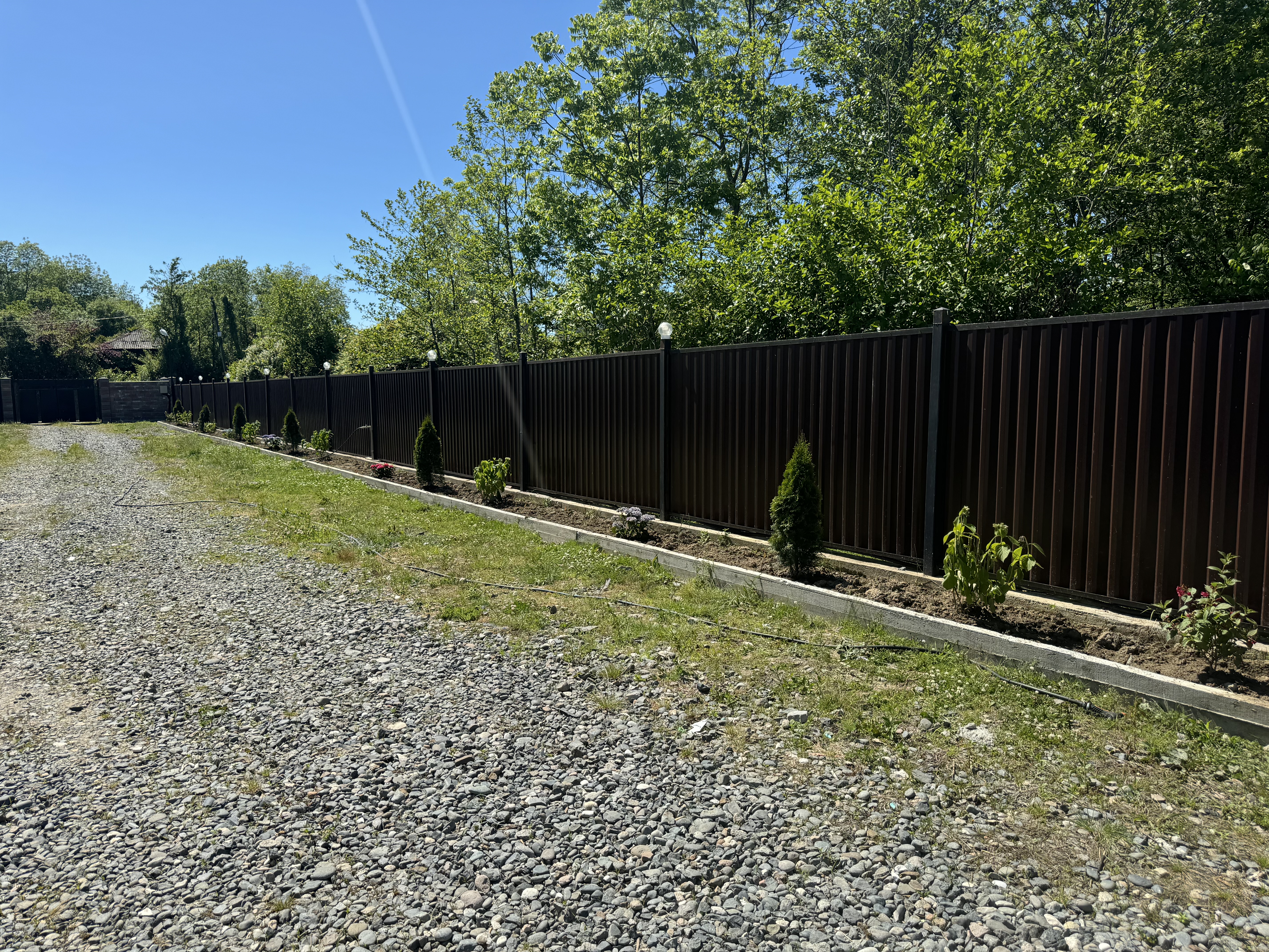 Гостевой дом Дельфин фото 4