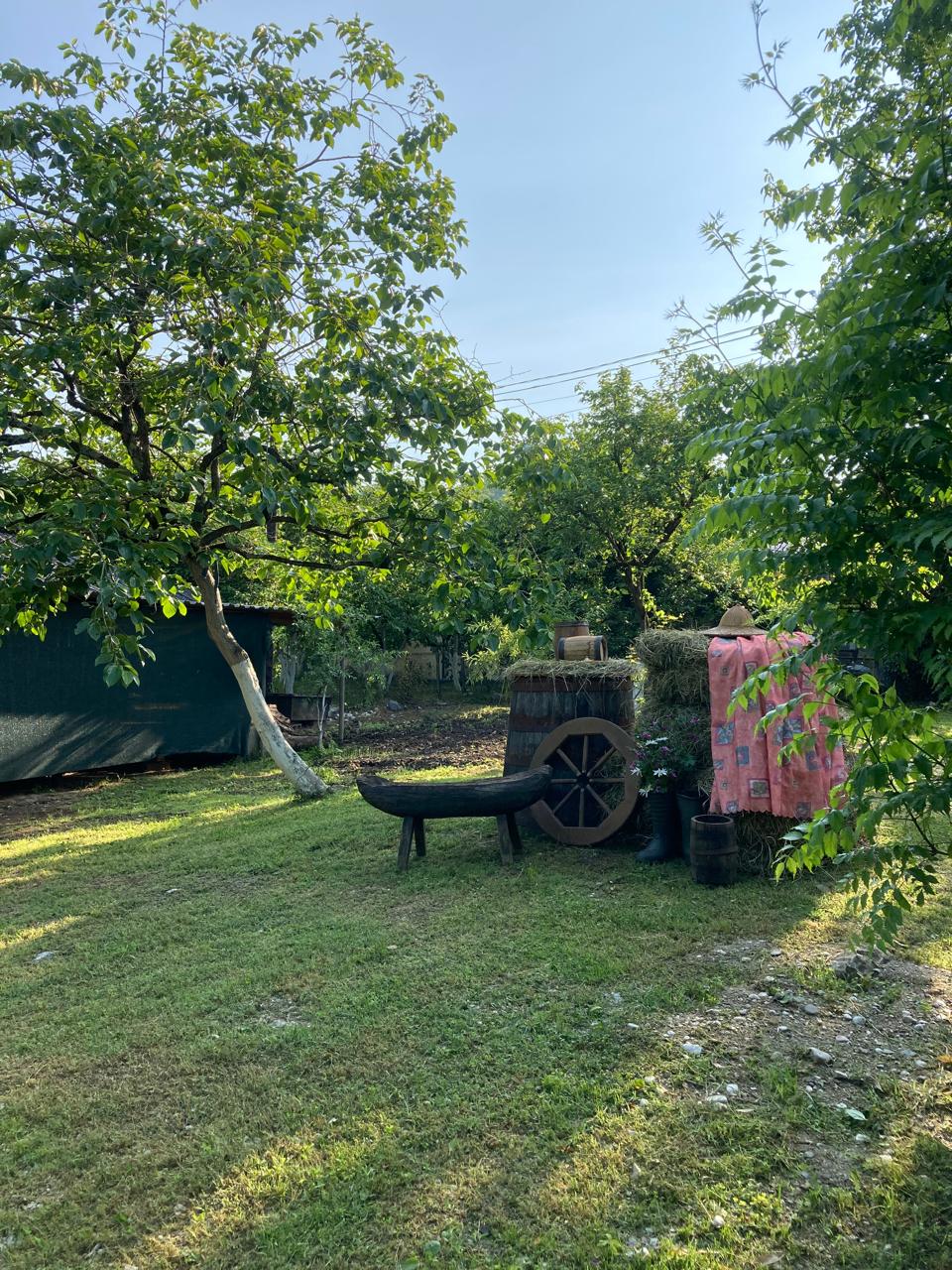 Фото ЭКО-Глэмпинг БУНГАЛО 55