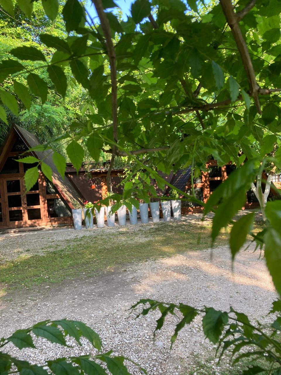 Фото ЭКО-Глэмпинг БУНГАЛО 58