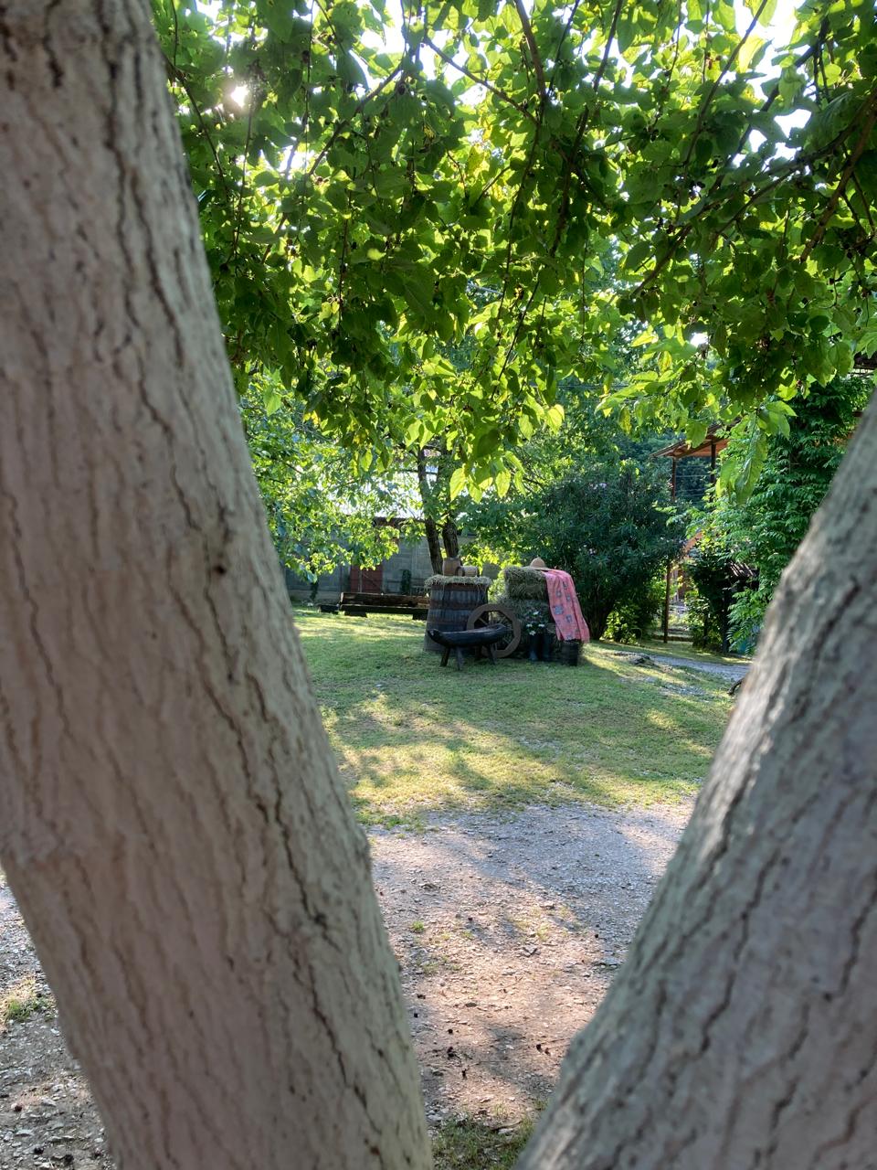 Фото ЭКО-Глэмпинг БУНГАЛО 25