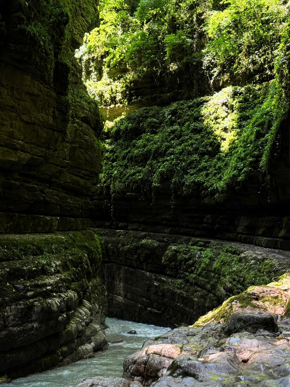 Фото ЭКО-Глэмпинг БУНГАЛО 29