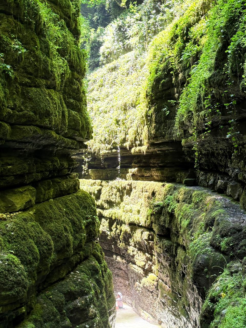 Фото ЭКО-Глэмпинг БУНГАЛО 64