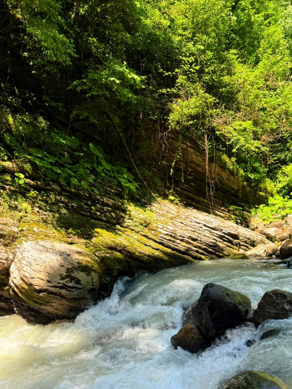 Фото ЭКО-Глэмпинг БУНГАЛО 31