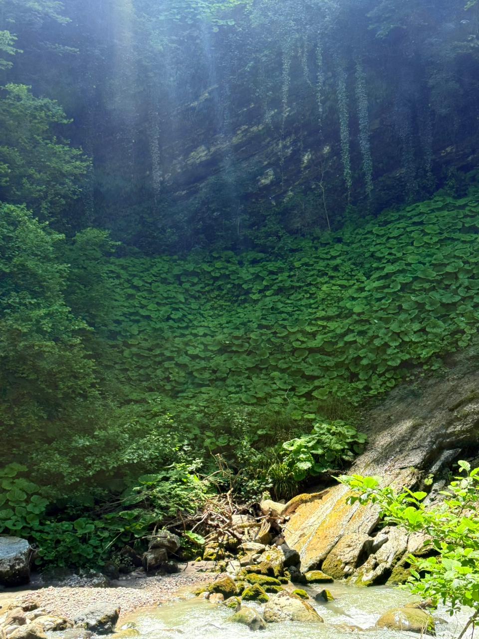 Фото ЭКО-Глэмпинг БУНГАЛО 30