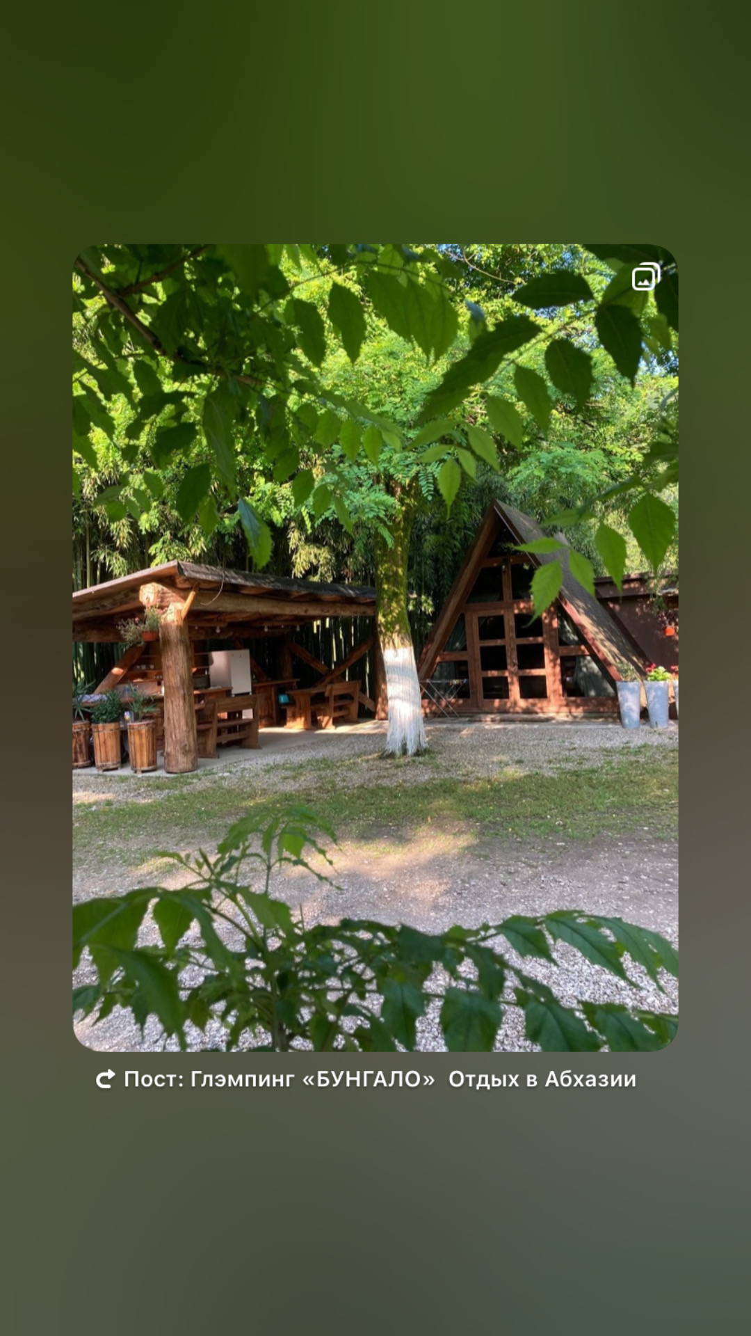 Фото ЭКО-Глэмпинг БУНГАЛО 65