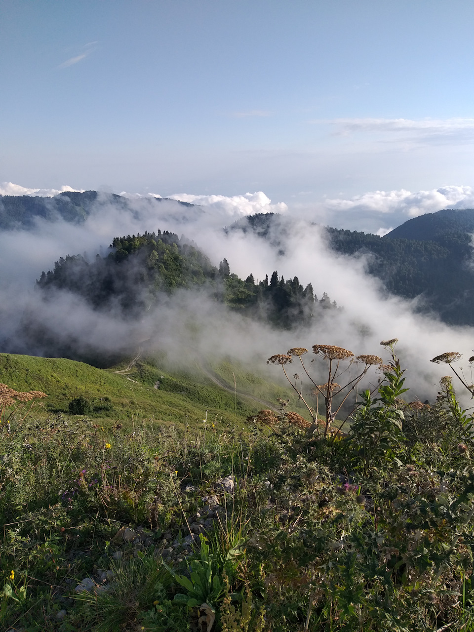 Фото ЭКО-Глэмпинг БУНГАЛО 34