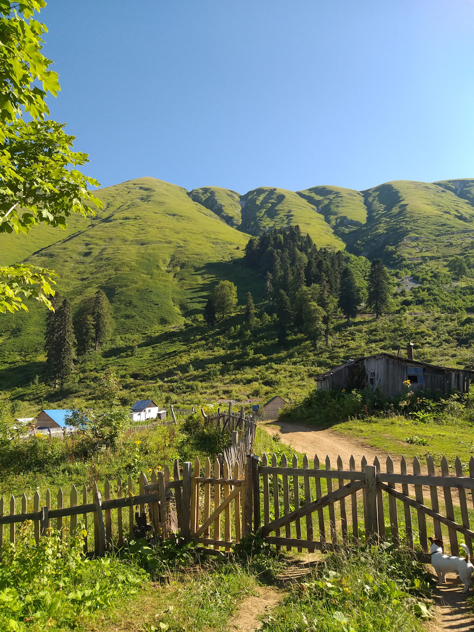 Фото ЭКО-Глэмпинг БУНГАЛО 67