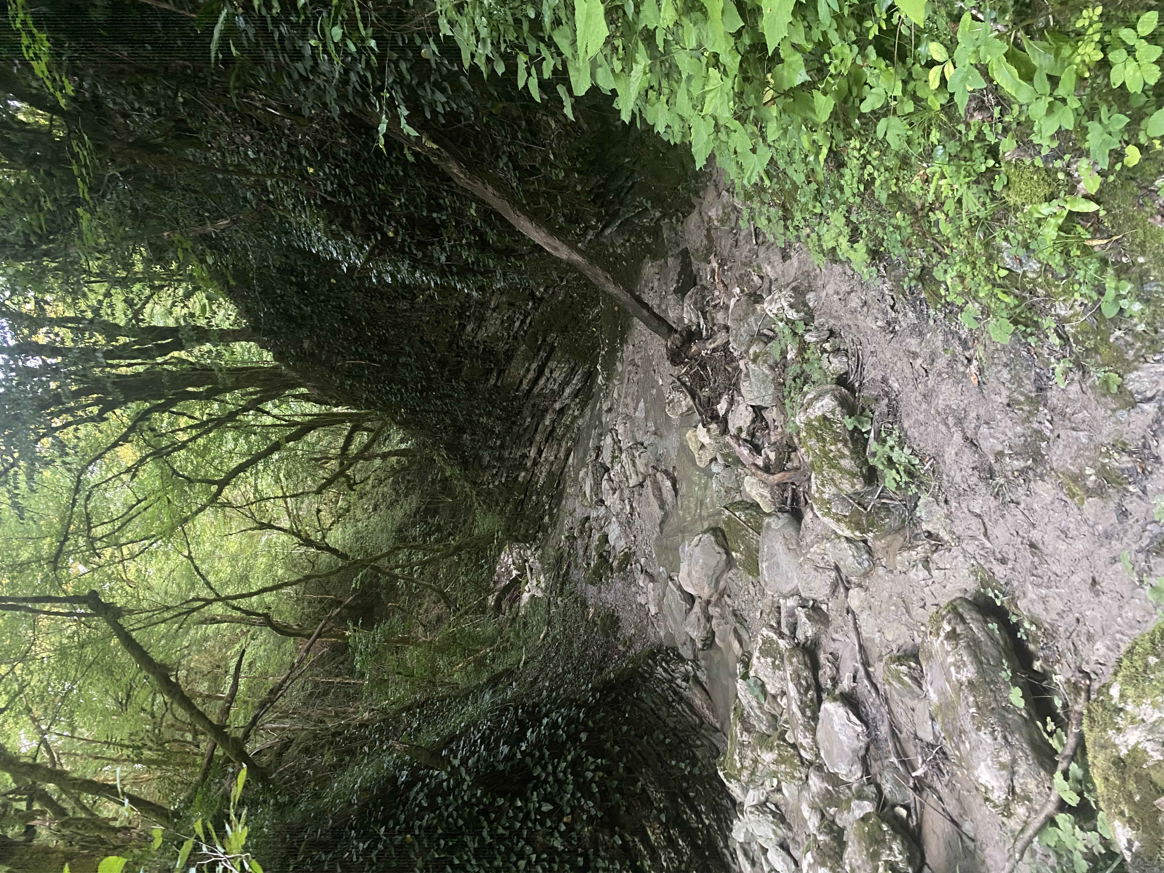 Фото ЭКО-Глэмпинг БУНГАЛО 21