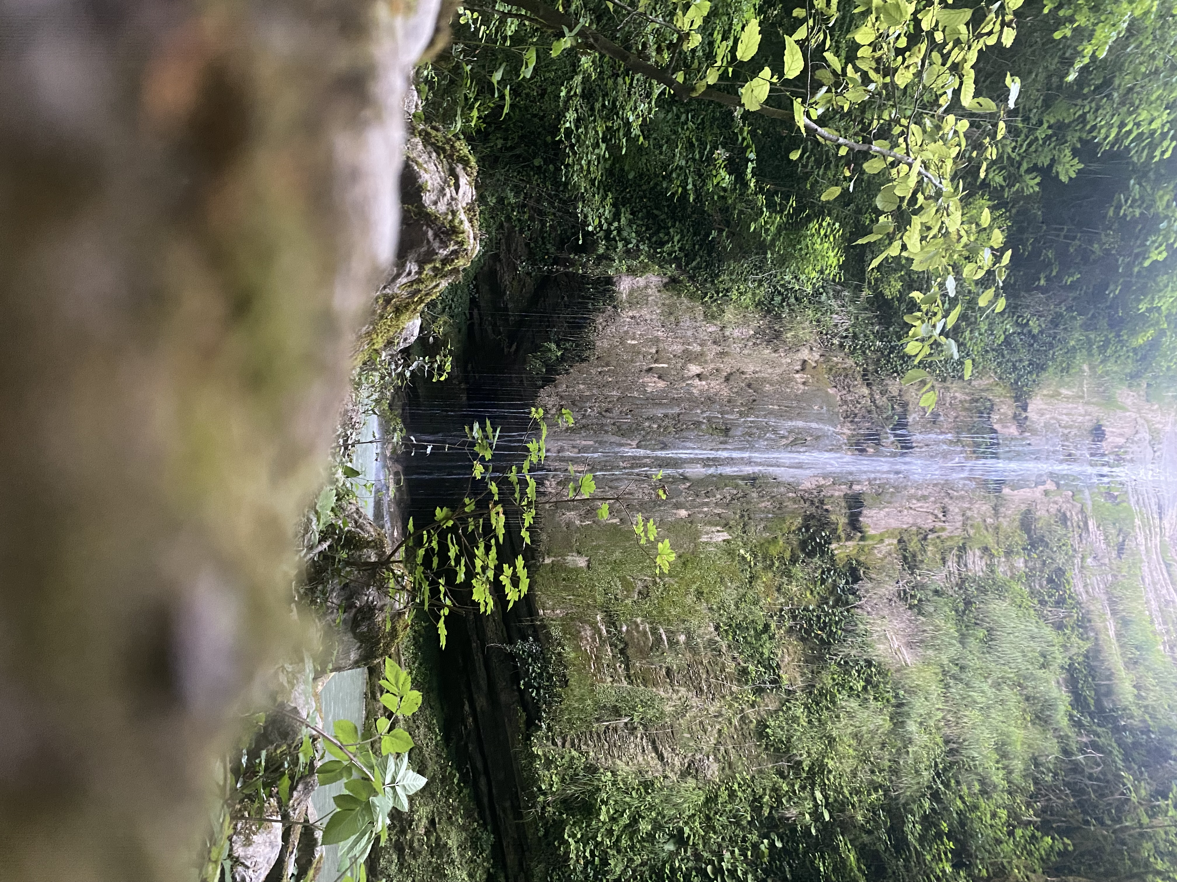 Фото ЭКО-Глэмпинг БУНГАЛО 24