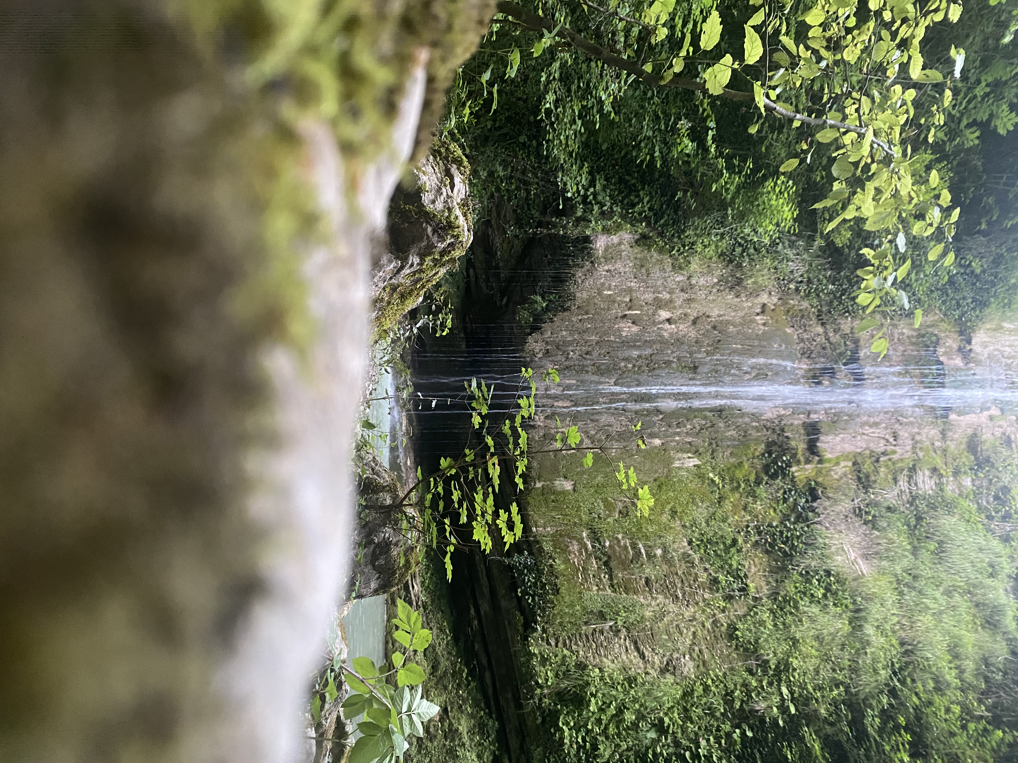 Фото ЭКО-Глэмпинг БУНГАЛО 36