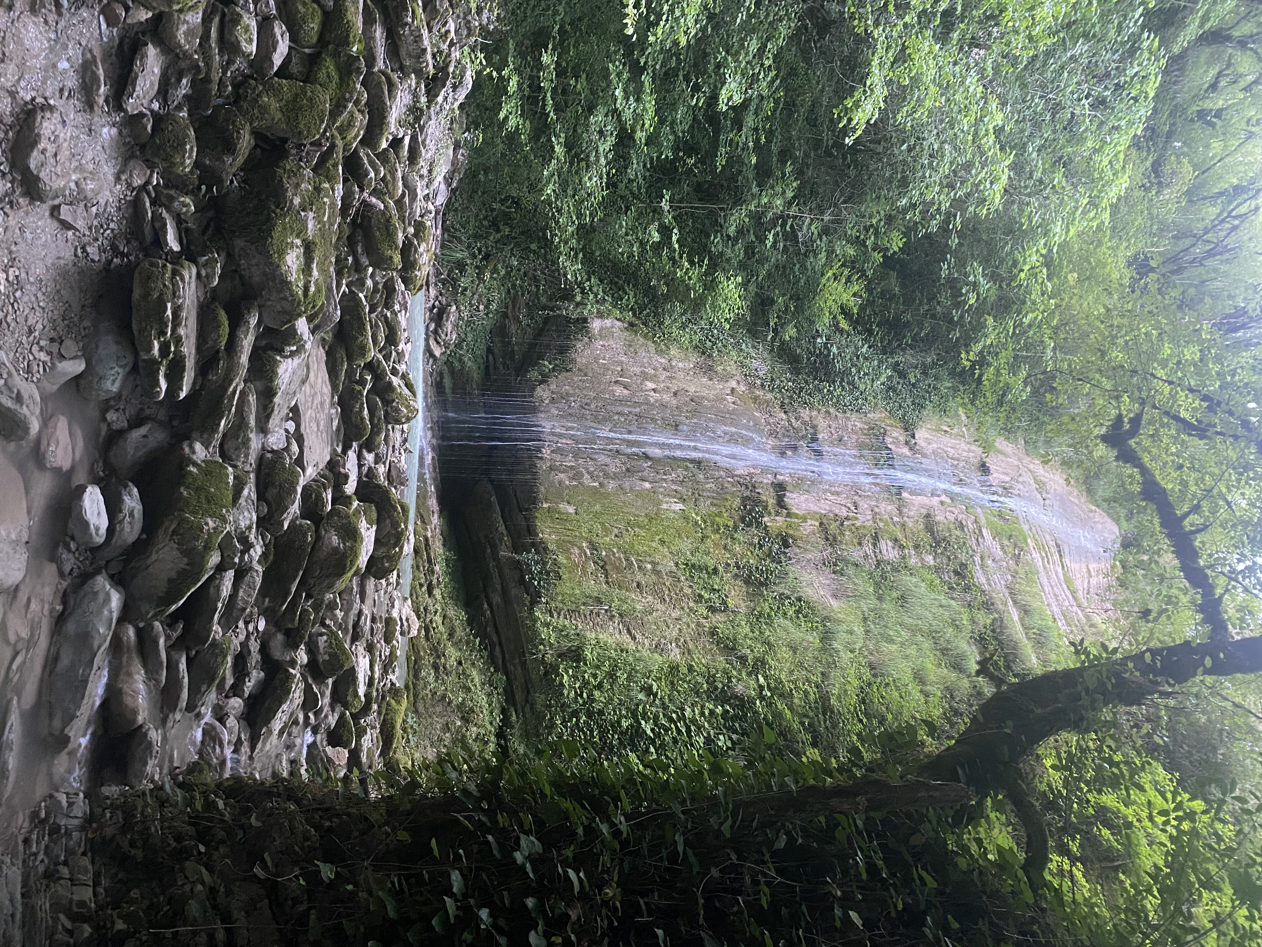 Фото ЭКО-Глэмпинг БУНГАЛО 23