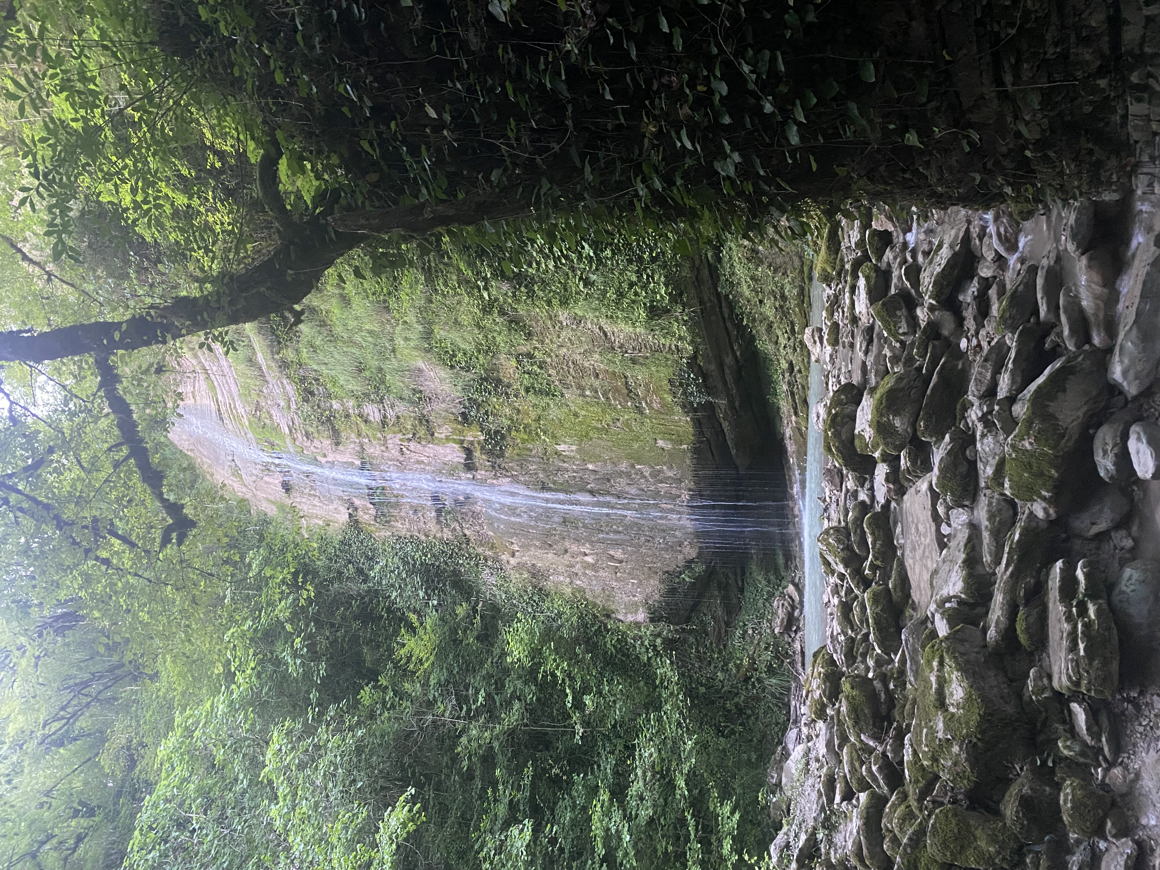 Фото ЭКО-Глэмпинг БУНГАЛО 101