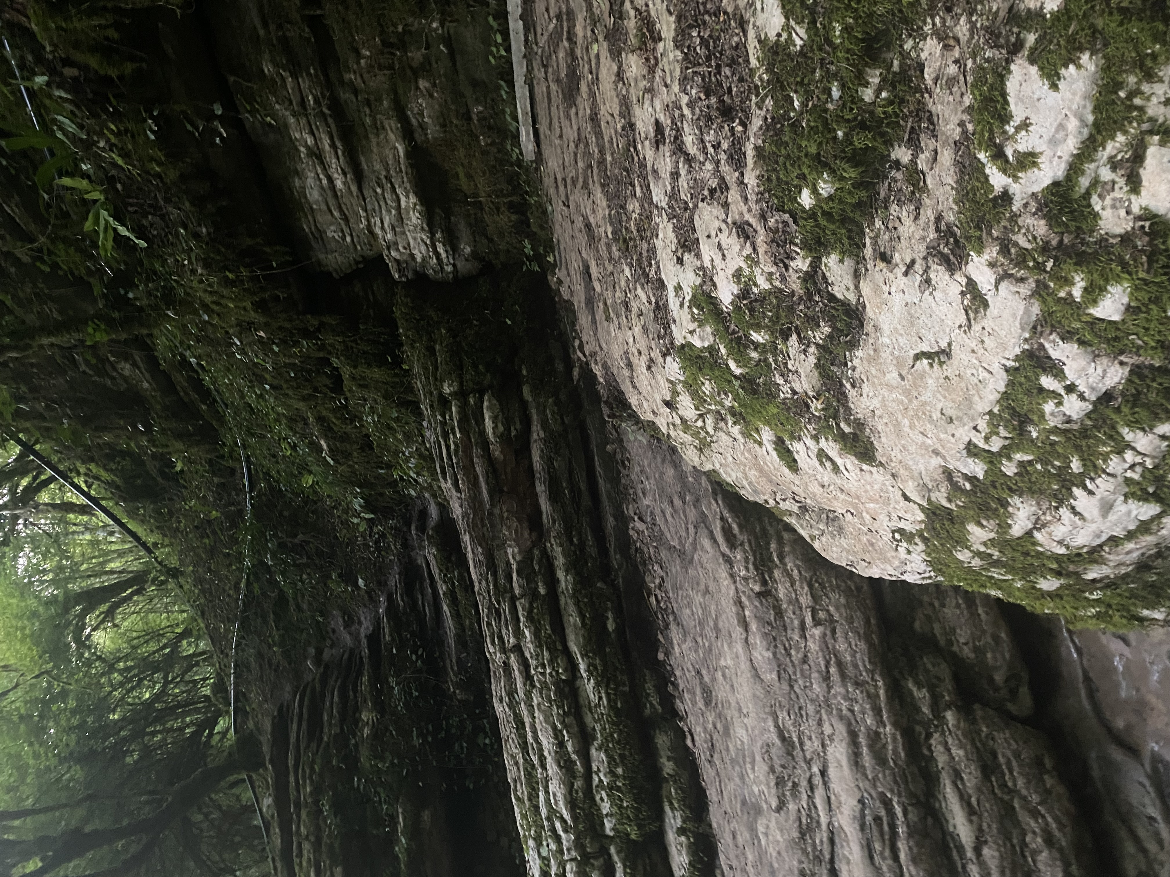 Фото ЭКО-Глэмпинг БУНГАЛО 97