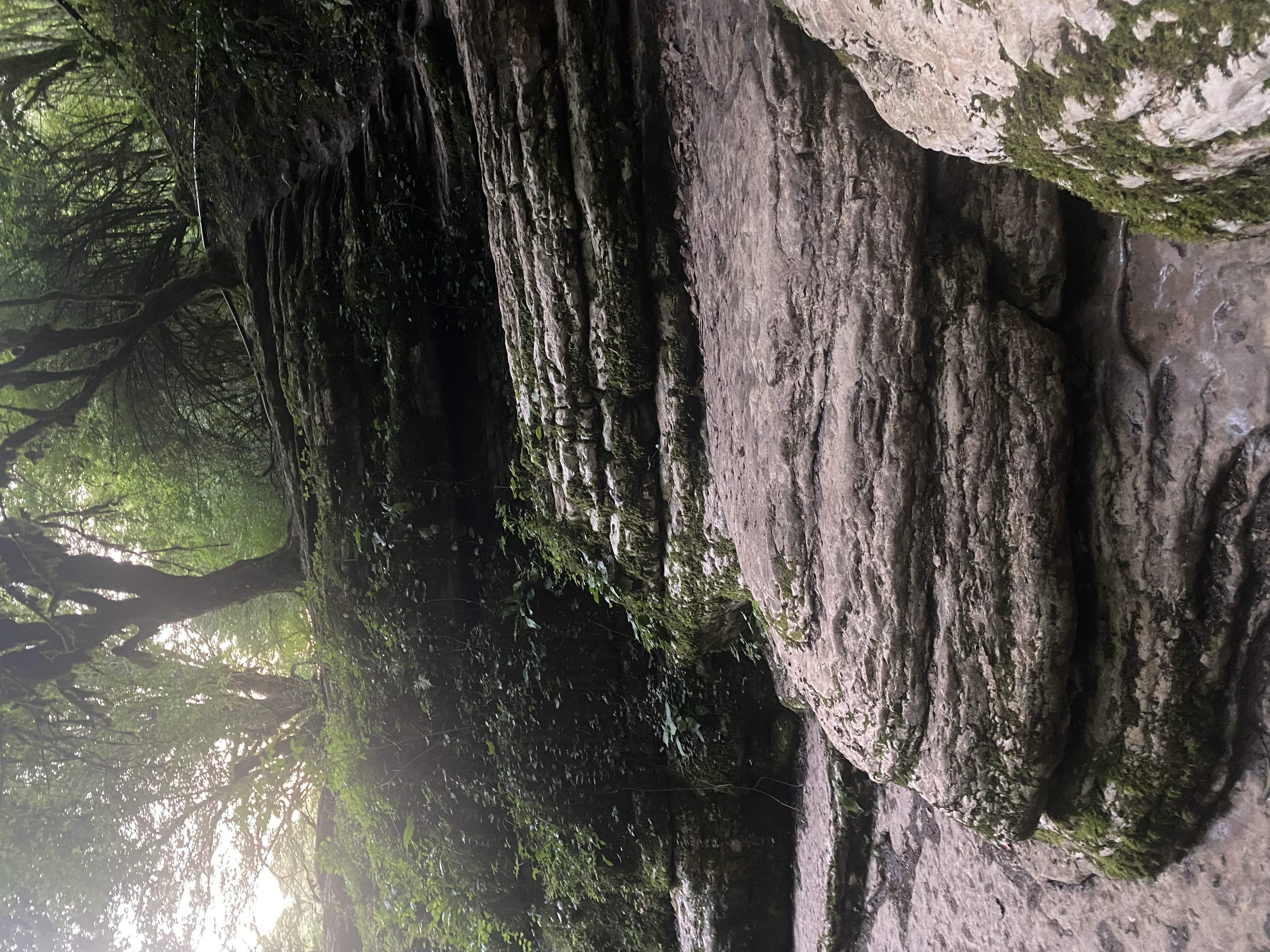 Фото ЭКО-Глэмпинг БУНГАЛО 98