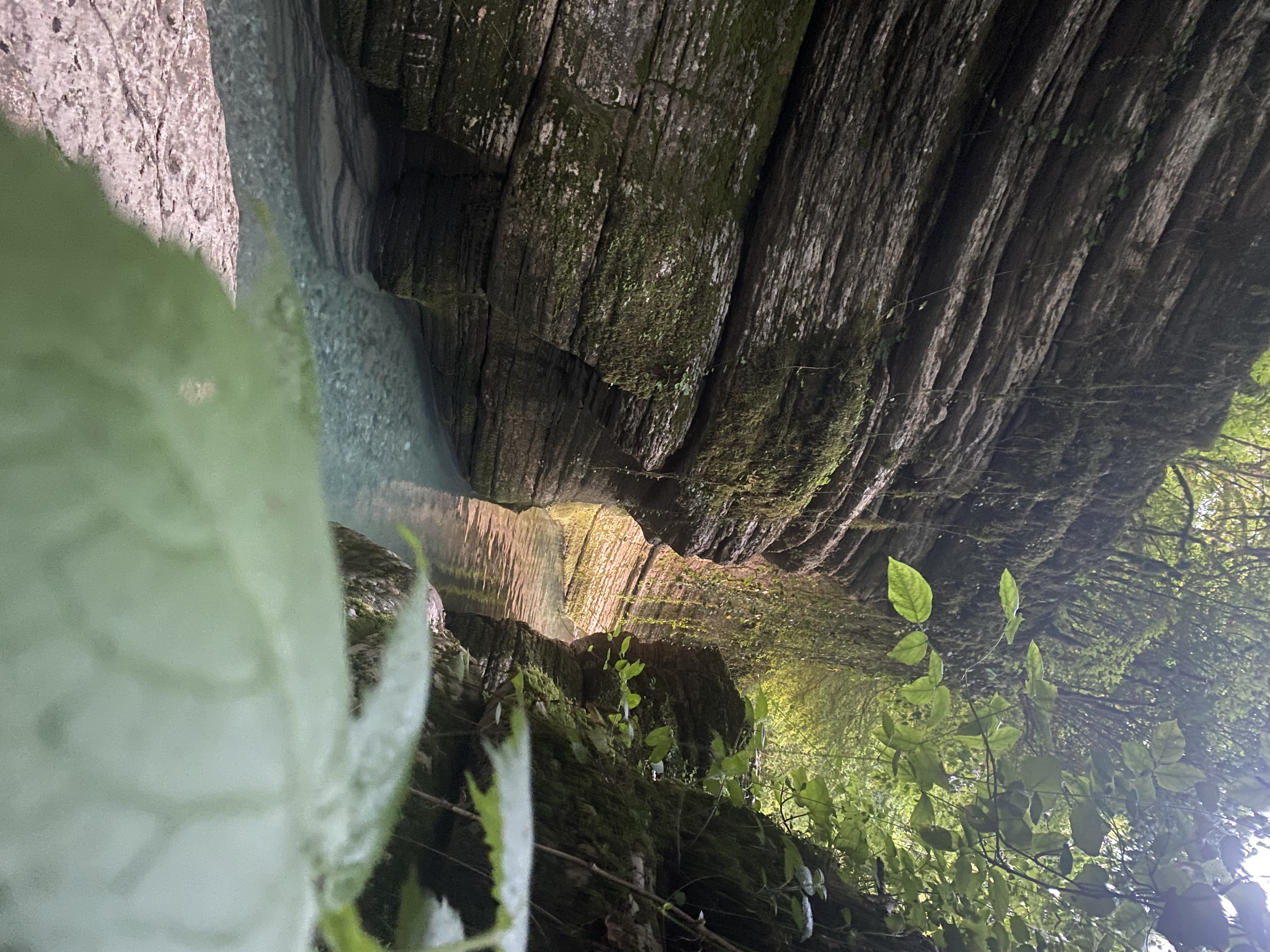 Фото ЭКО-Глэмпинг БУНГАЛО 99