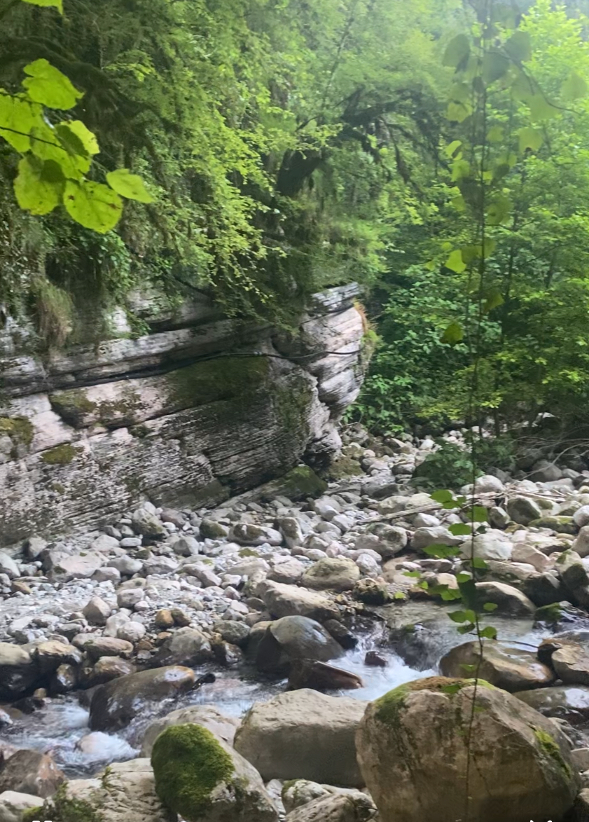 Фото ЭКО-Глэмпинг БУНГАЛО 173