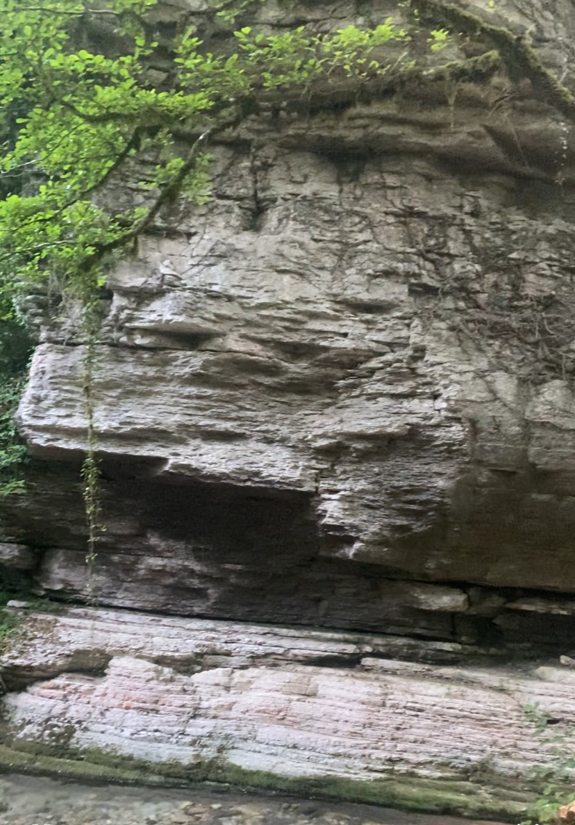 Фото ЭКО-Глэмпинг БУНГАЛО 170