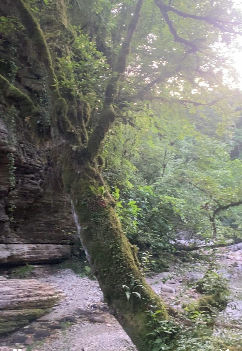 Фото ЭКО-Глэмпинг БУНГАЛО 171